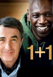 1+1