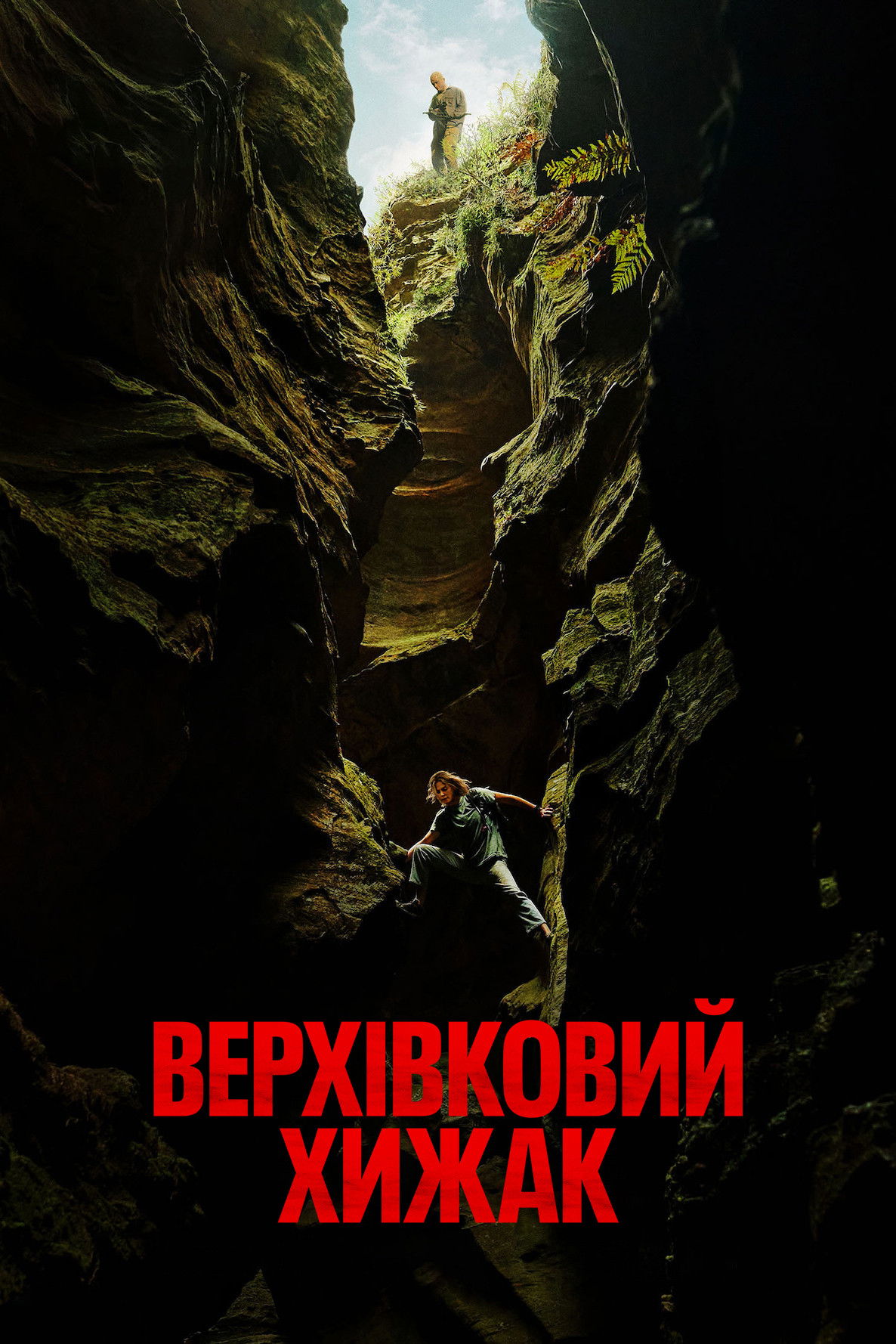 Верхівковий хижак дивитися онлайн